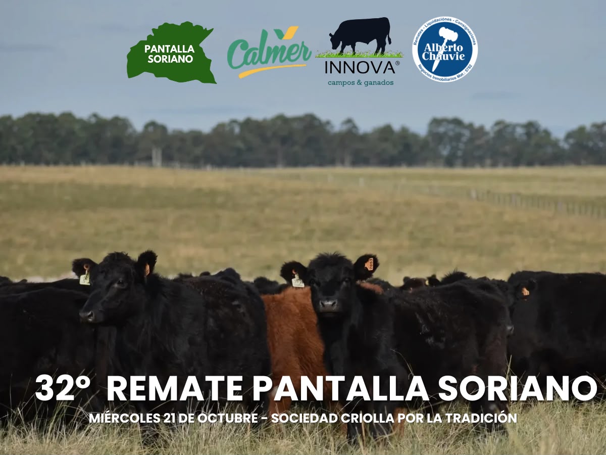 32° Remate - Pantalla Soriano
